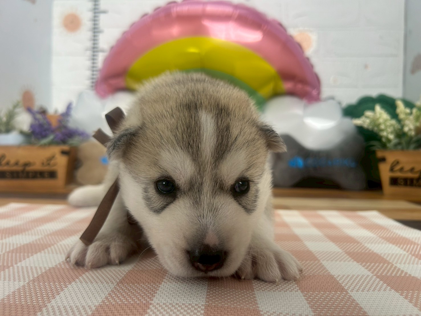 赤ちゃん写真2-1