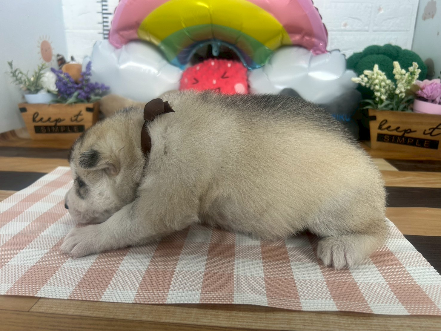 赤ちゃん写真2-2