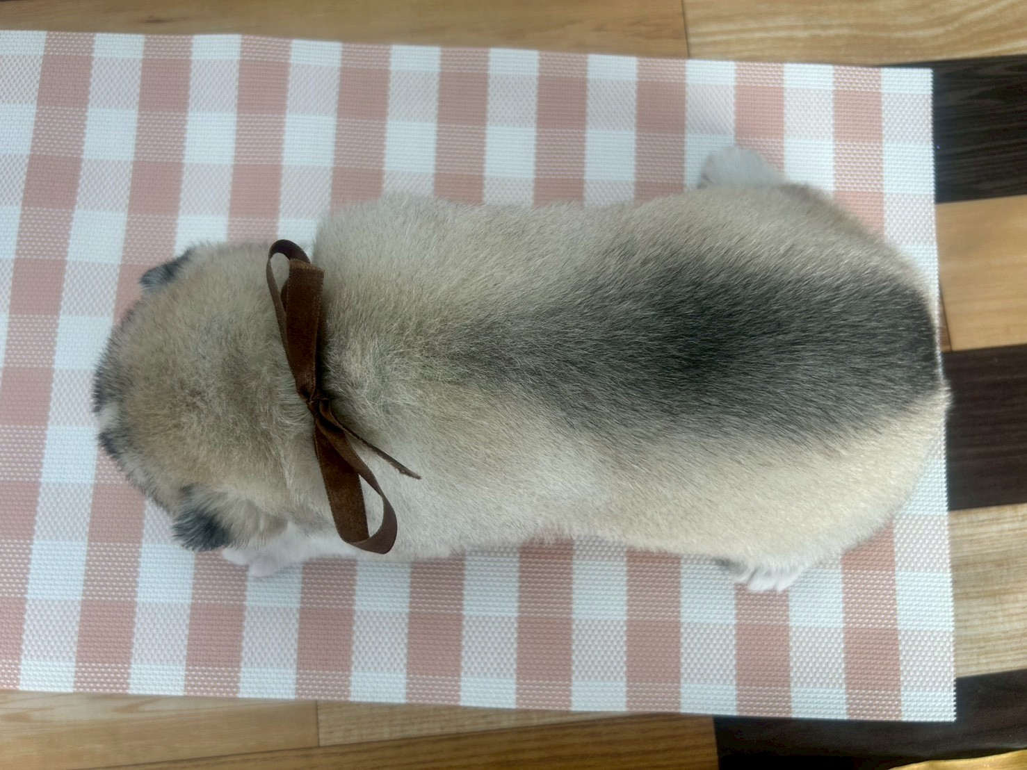 赤ちゃん写真2-3