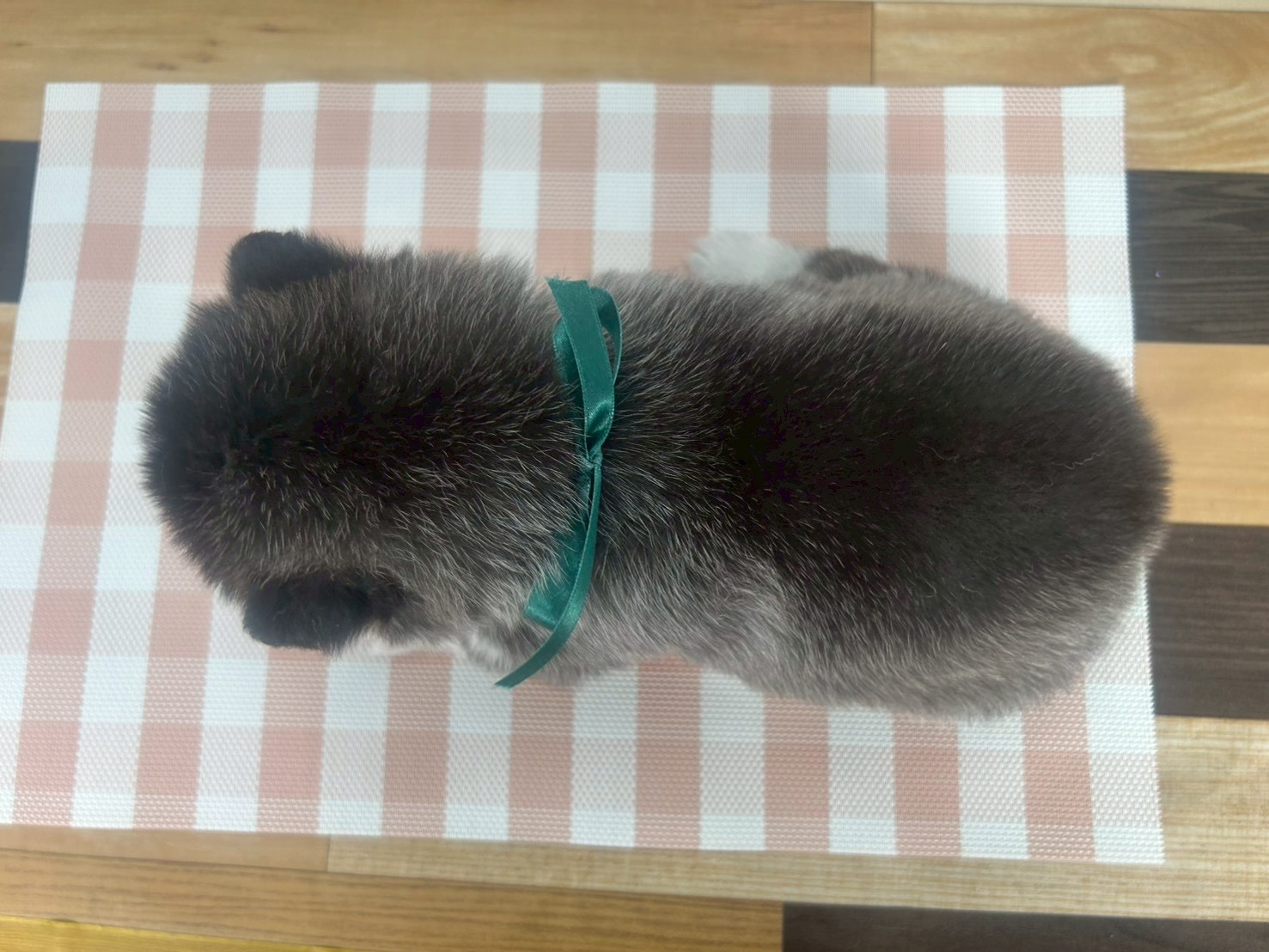 赤ちゃん写真2-3
