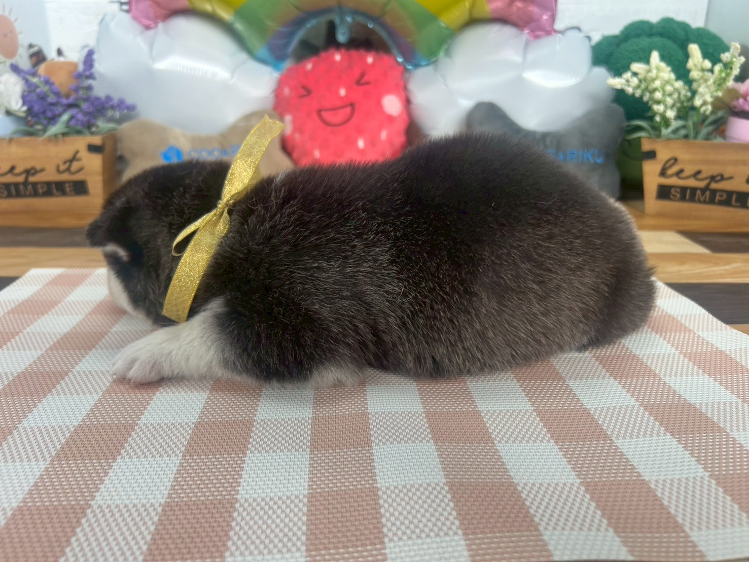 赤ちゃん写真2-2