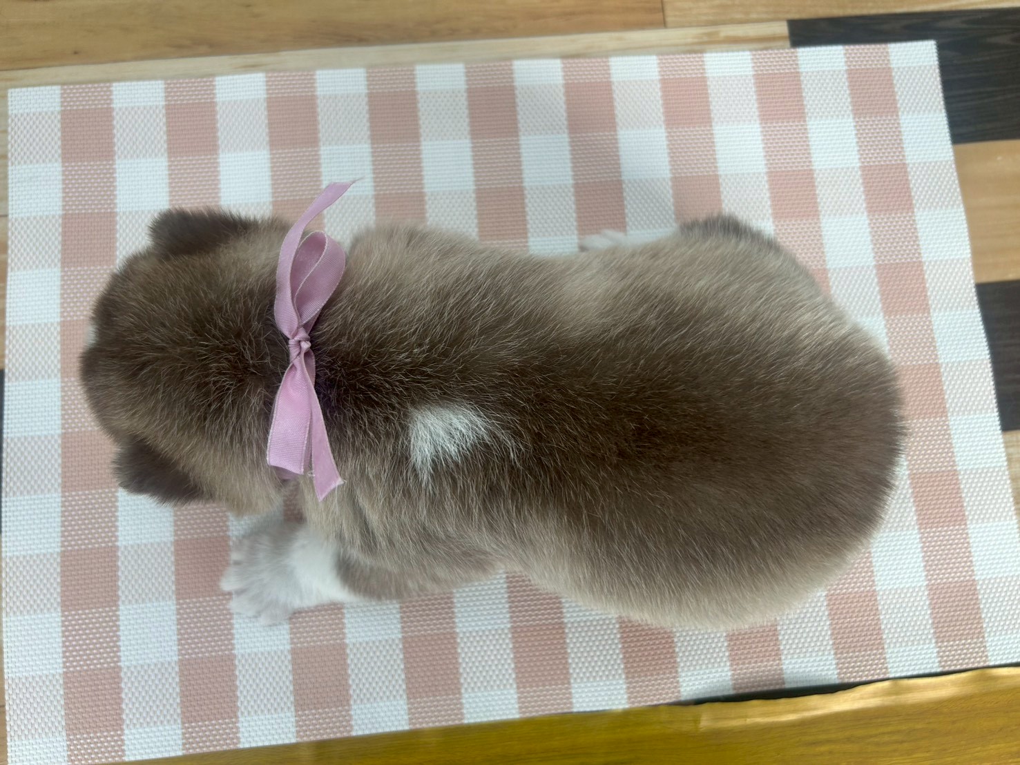 赤ちゃん写真2-3