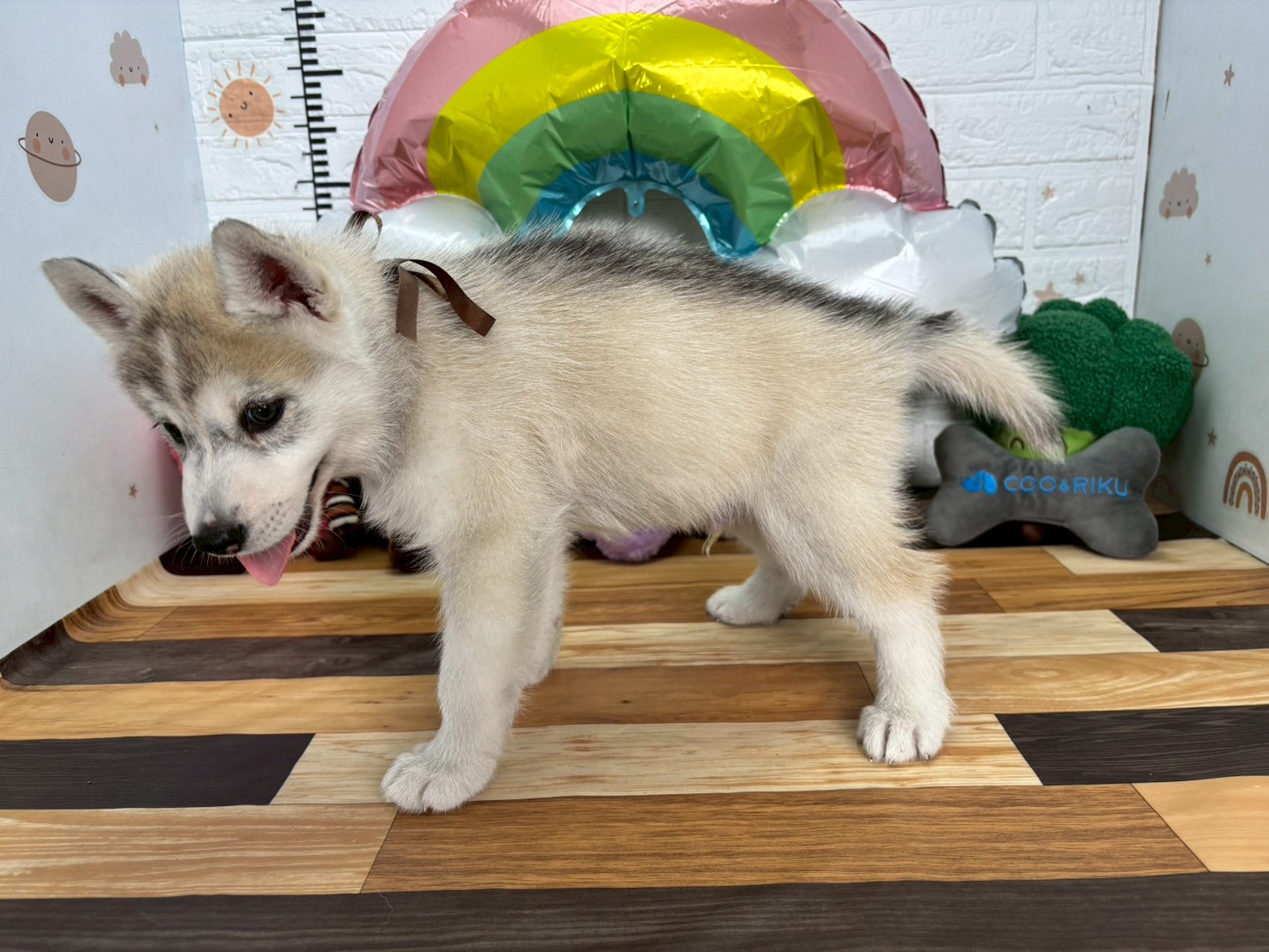 赤ちゃん写真3-2