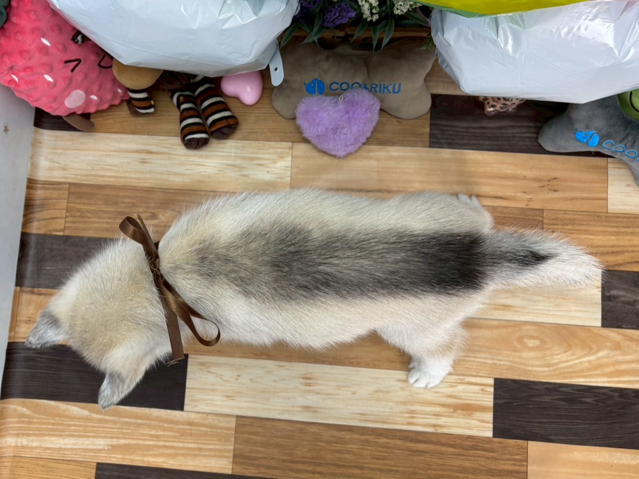 赤ちゃん写真3-3