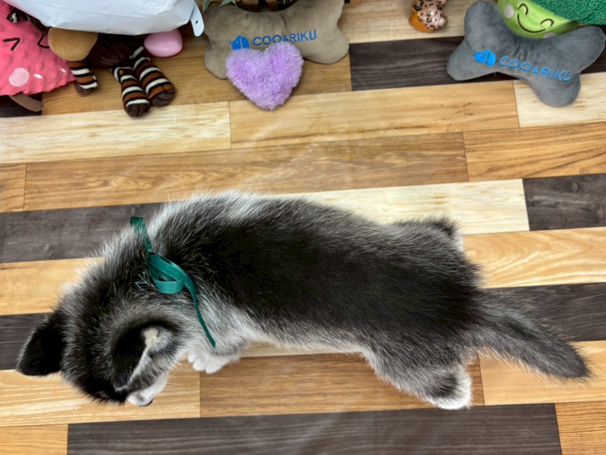 赤ちゃん写真3-3