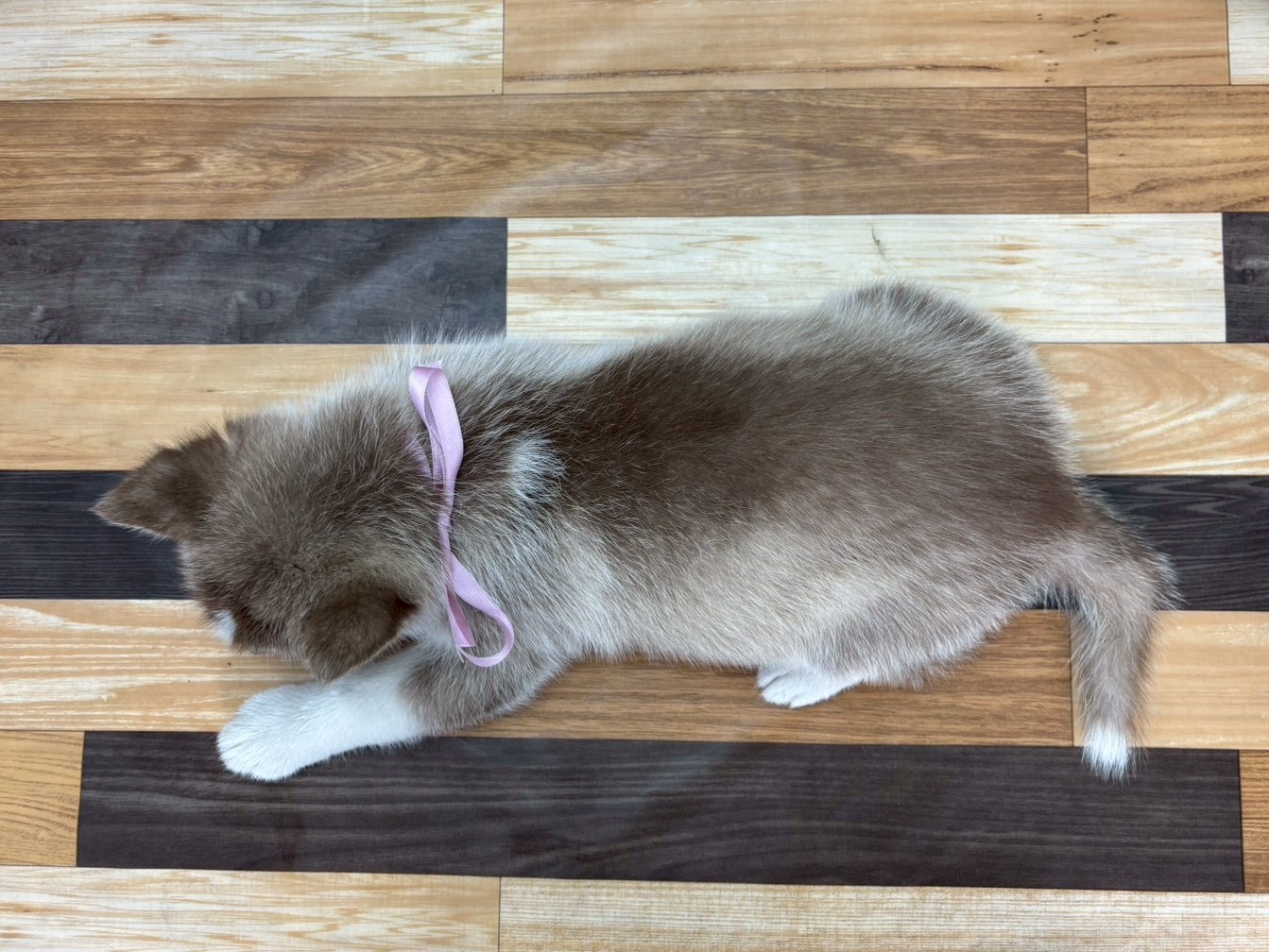 赤ちゃん写真3-3