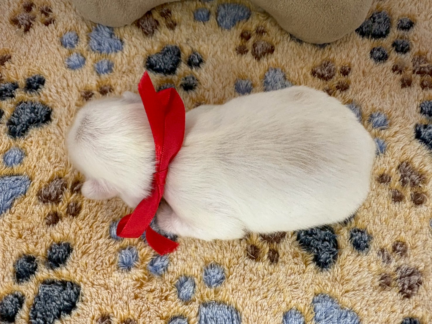 赤ちゃん写真1-3