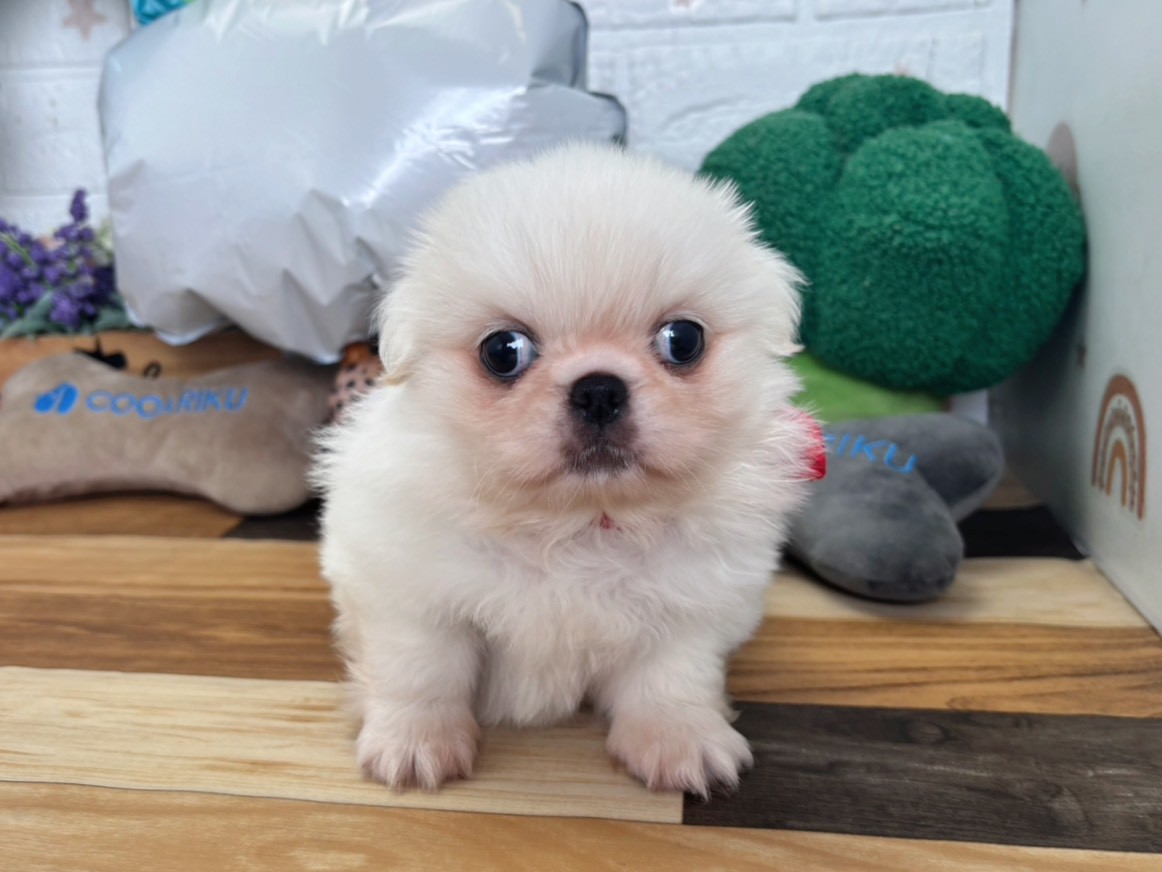 赤ちゃん写真3-1