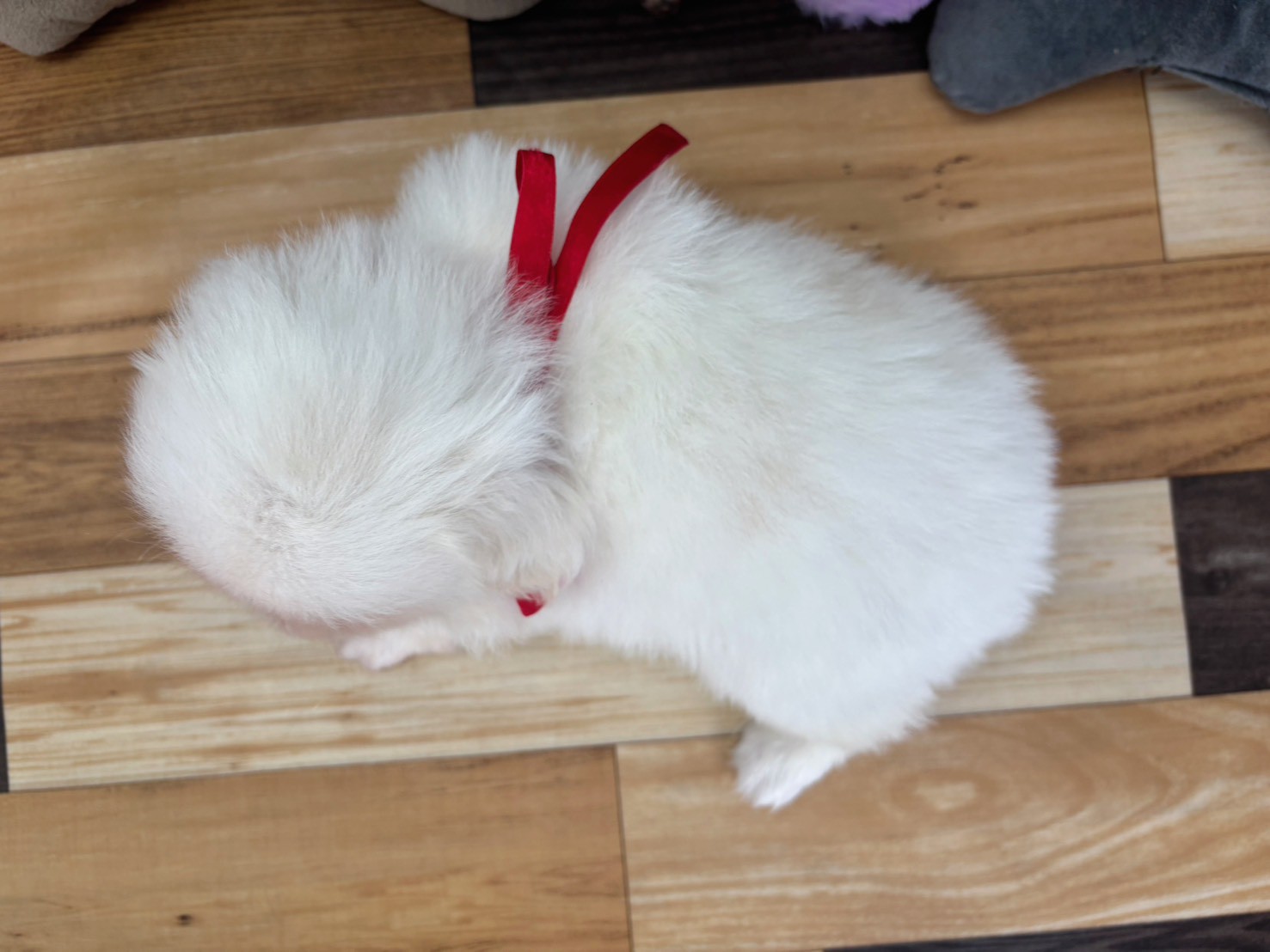 赤ちゃん写真3-3