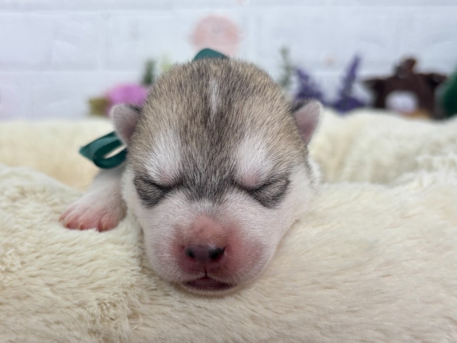赤ちゃん写真1-1