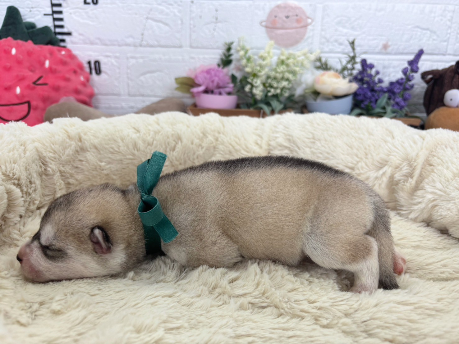 赤ちゃん写真1-2