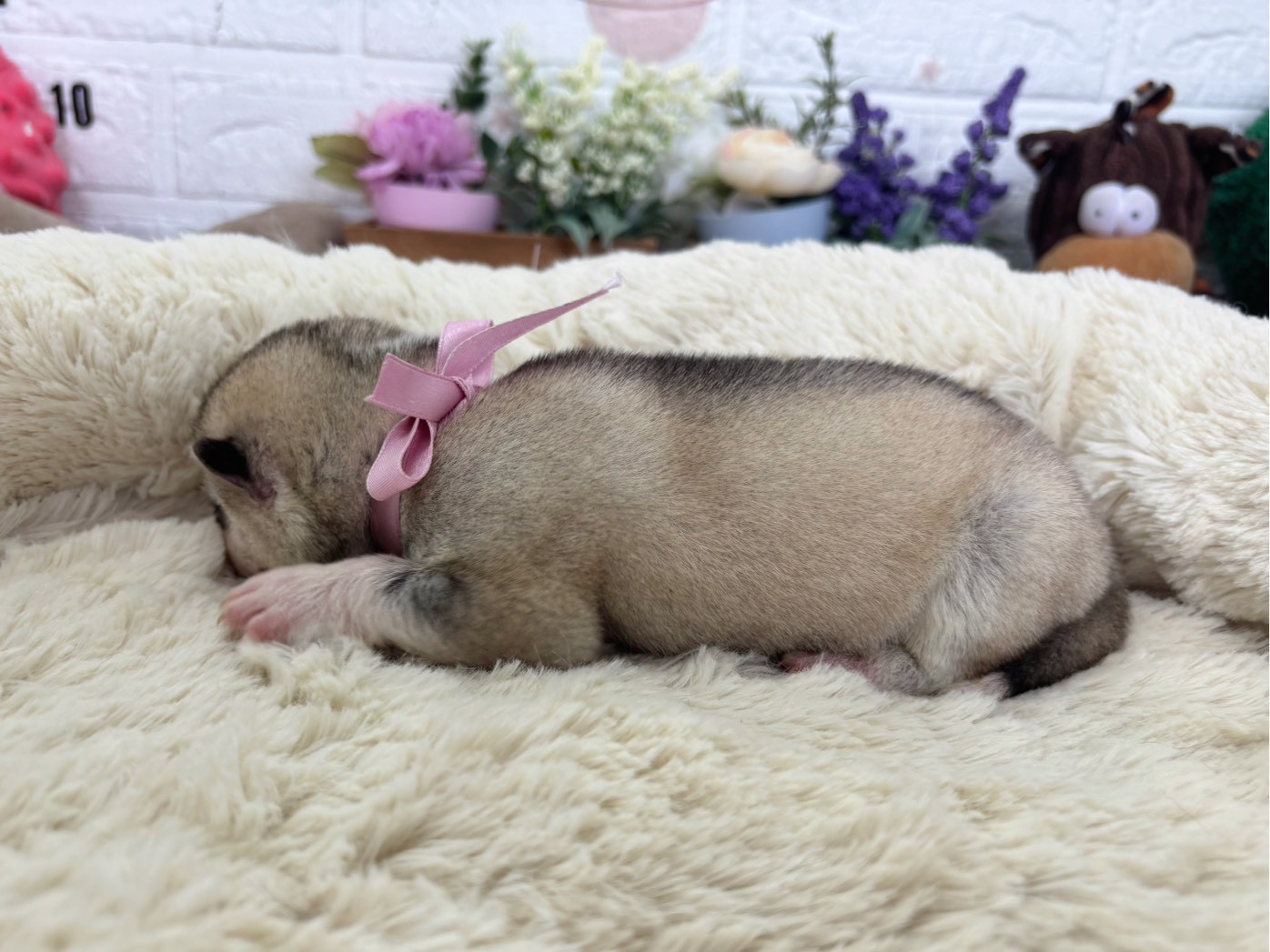 赤ちゃん写真1-2