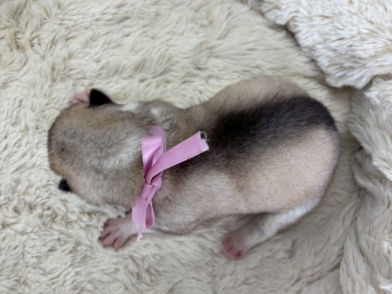 赤ちゃん写真1-3