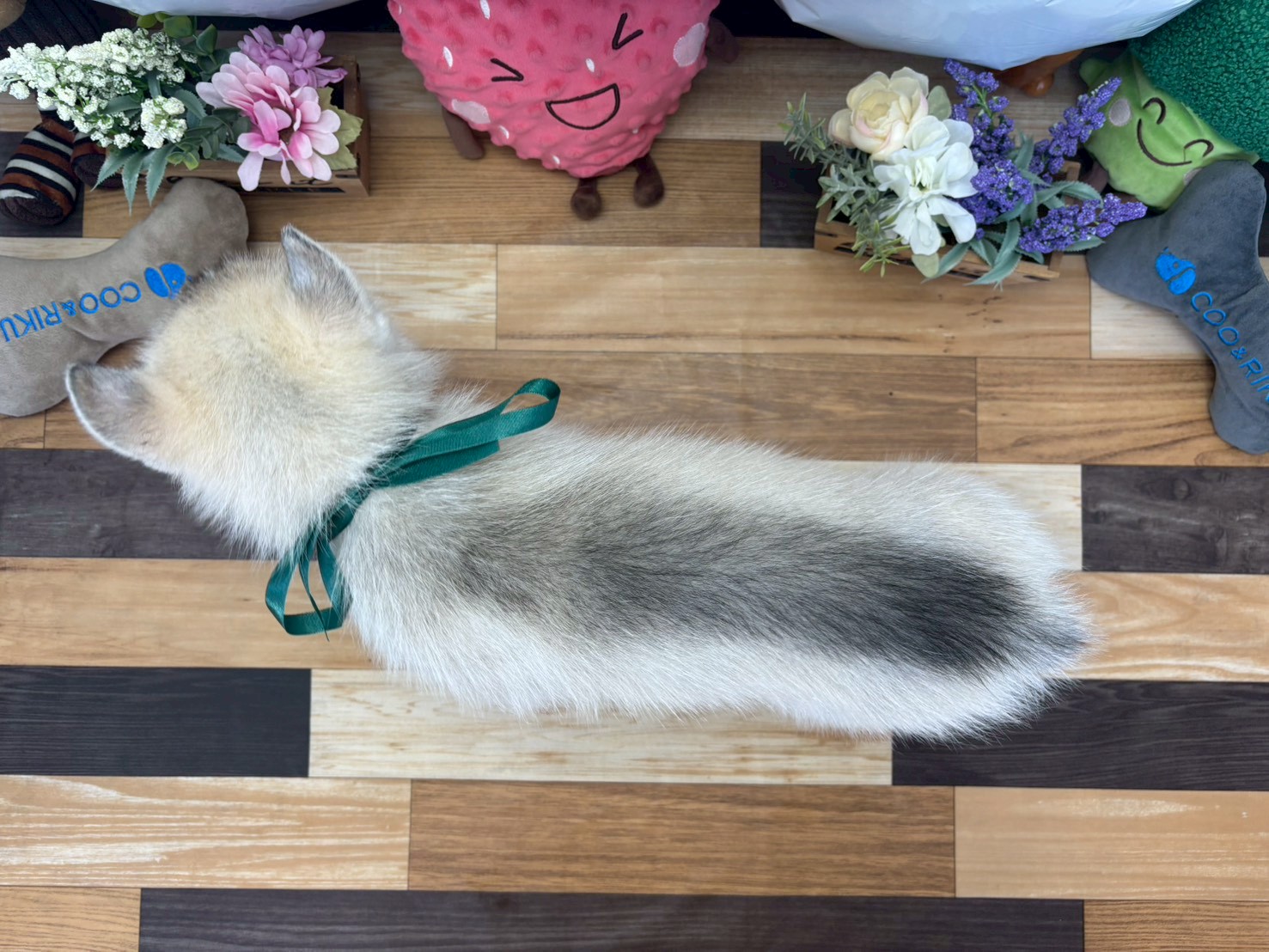 赤ちゃん写真3-3