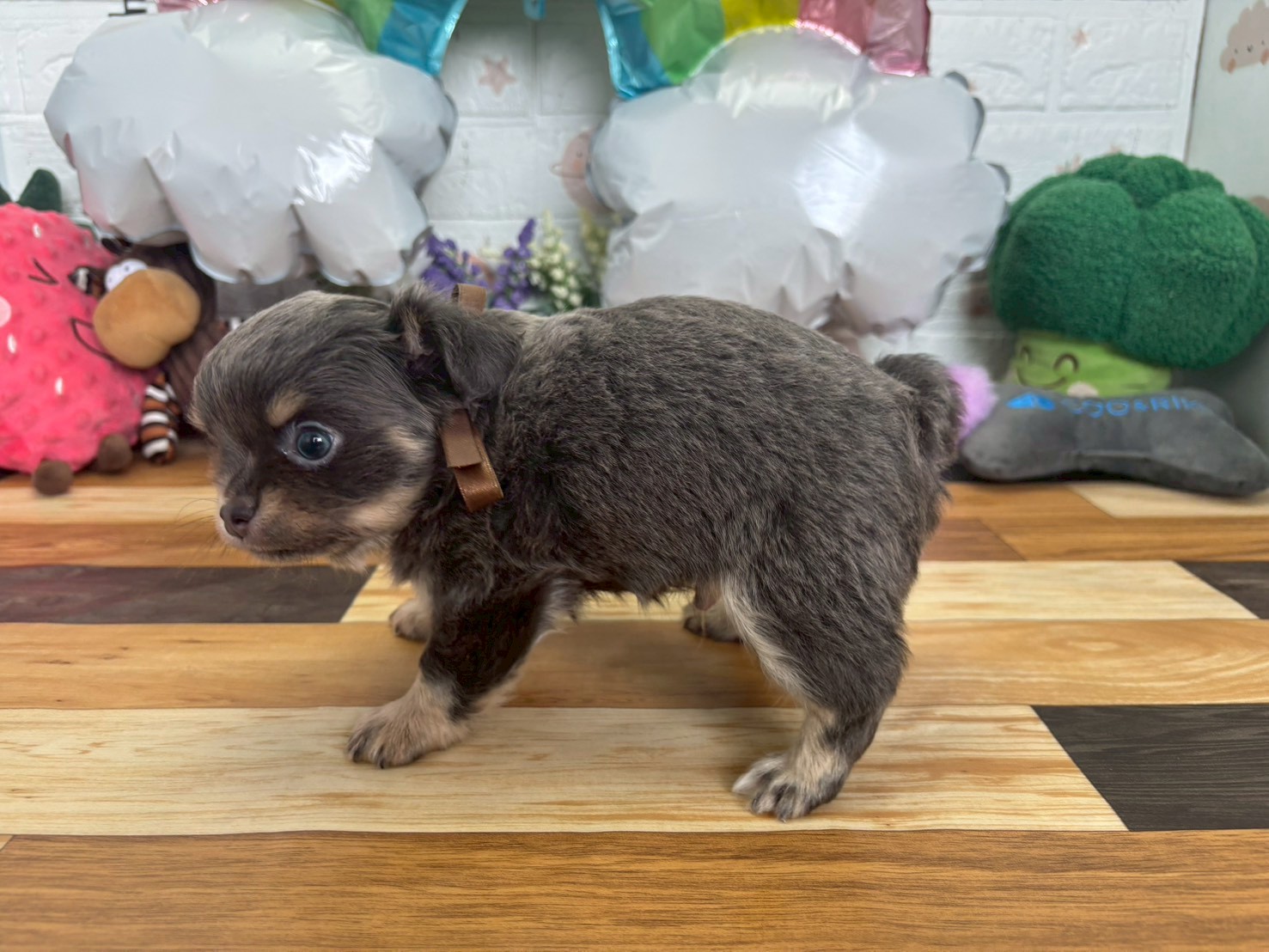 赤ちゃん写真3-2