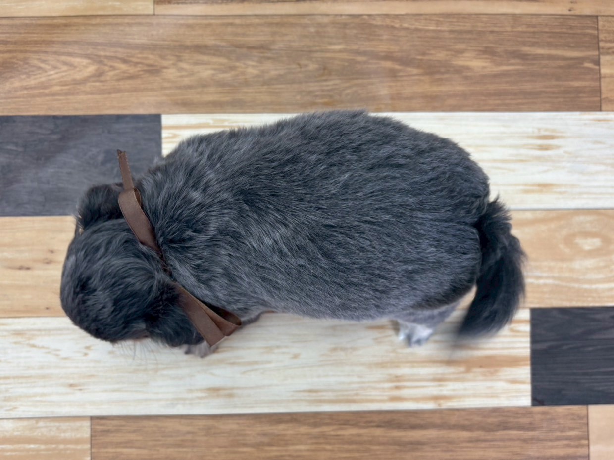 赤ちゃん写真3-3