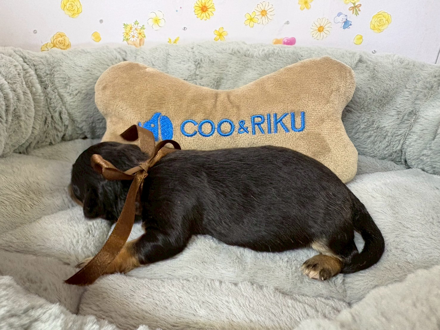 赤ちゃん写真1-2