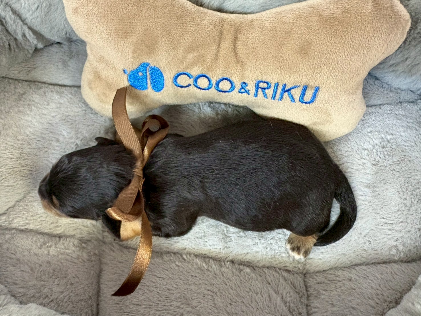 赤ちゃん写真1-3