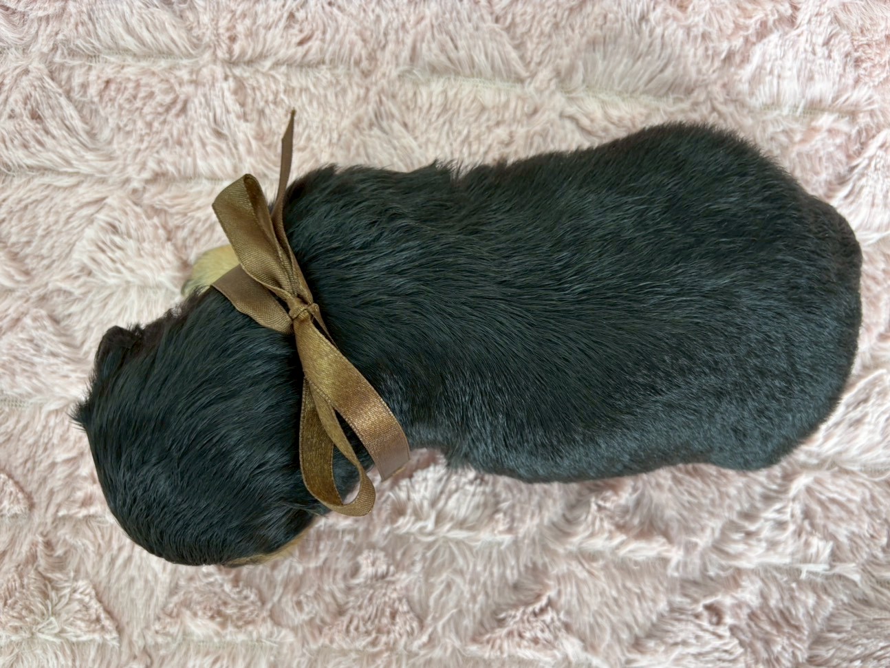 赤ちゃん写真2-3