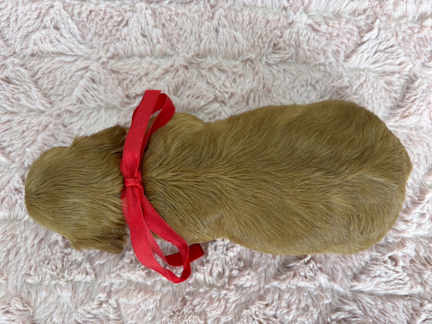 赤ちゃん写真2-3