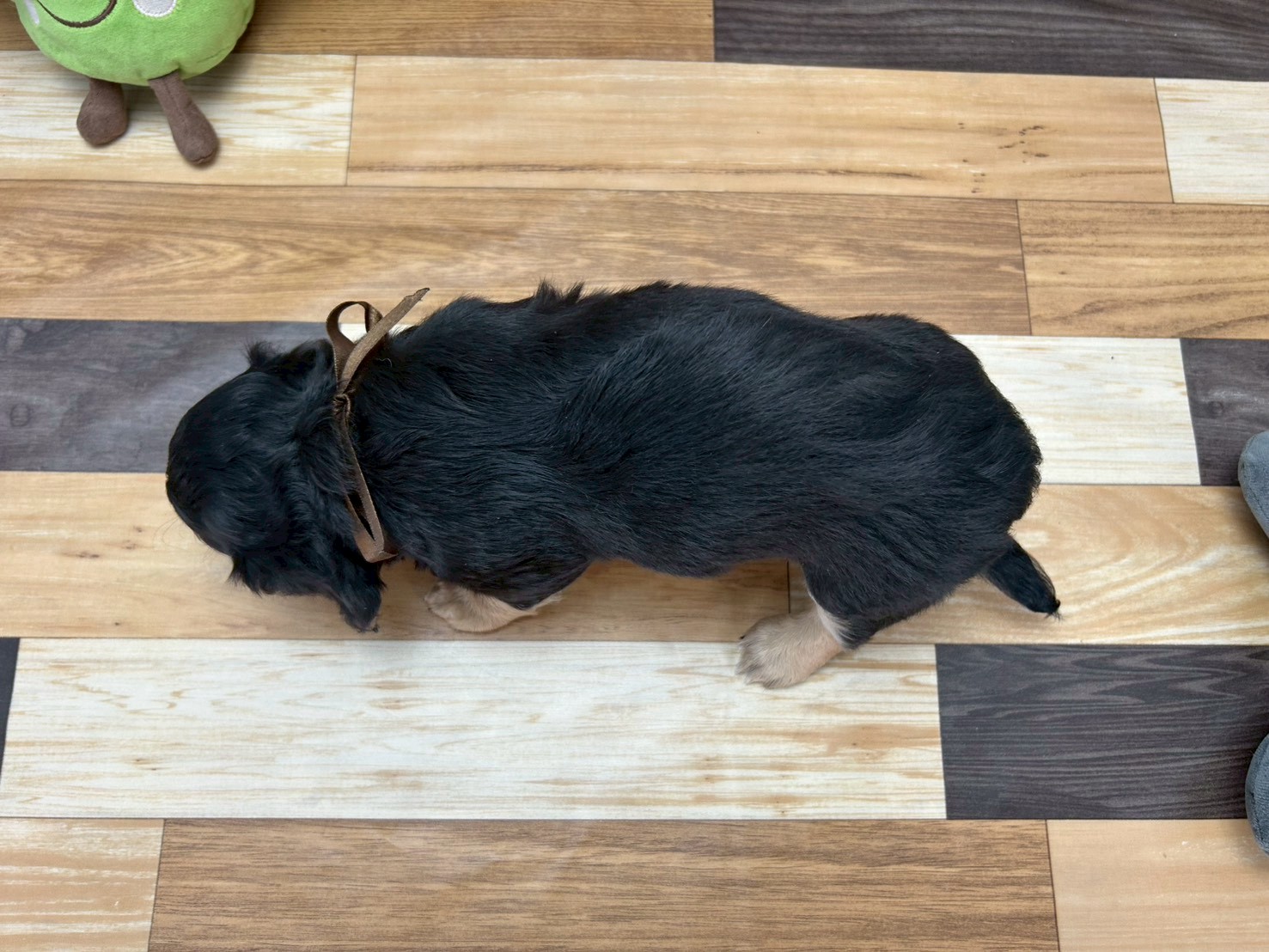 赤ちゃん写真3-3