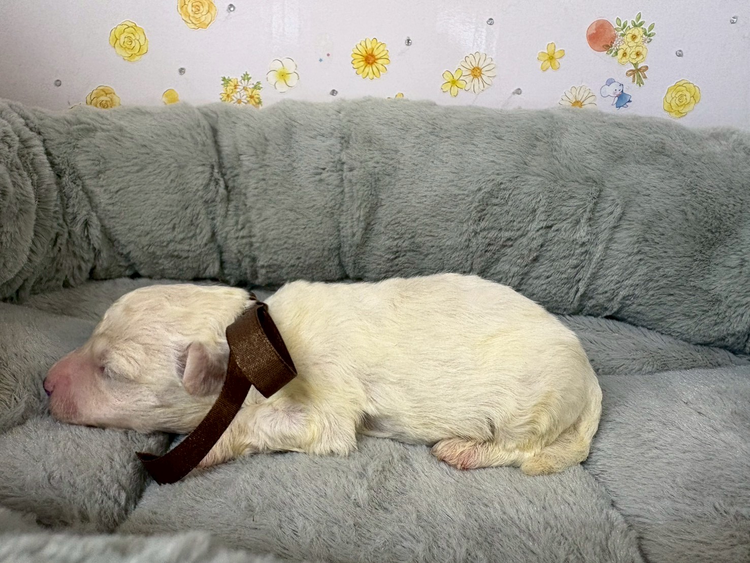 赤ちゃん写真1-2