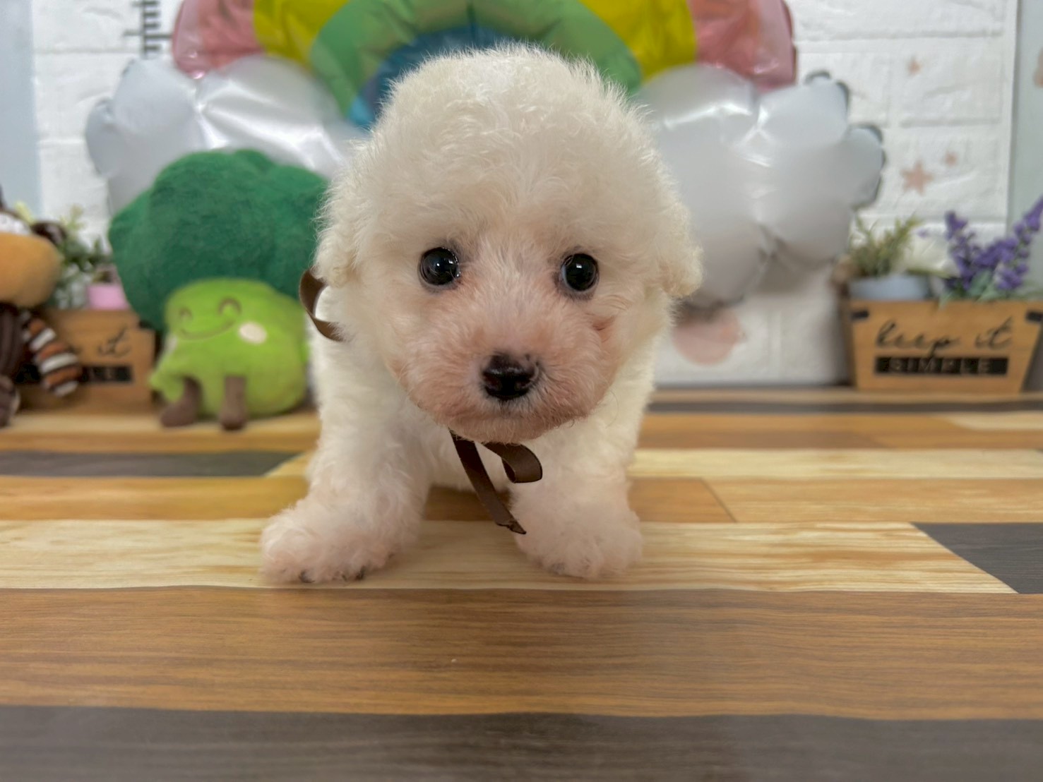 赤ちゃん写真3-1