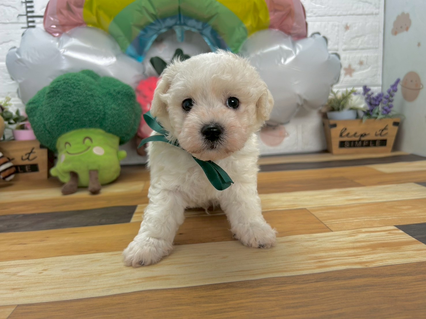 赤ちゃん写真3-1