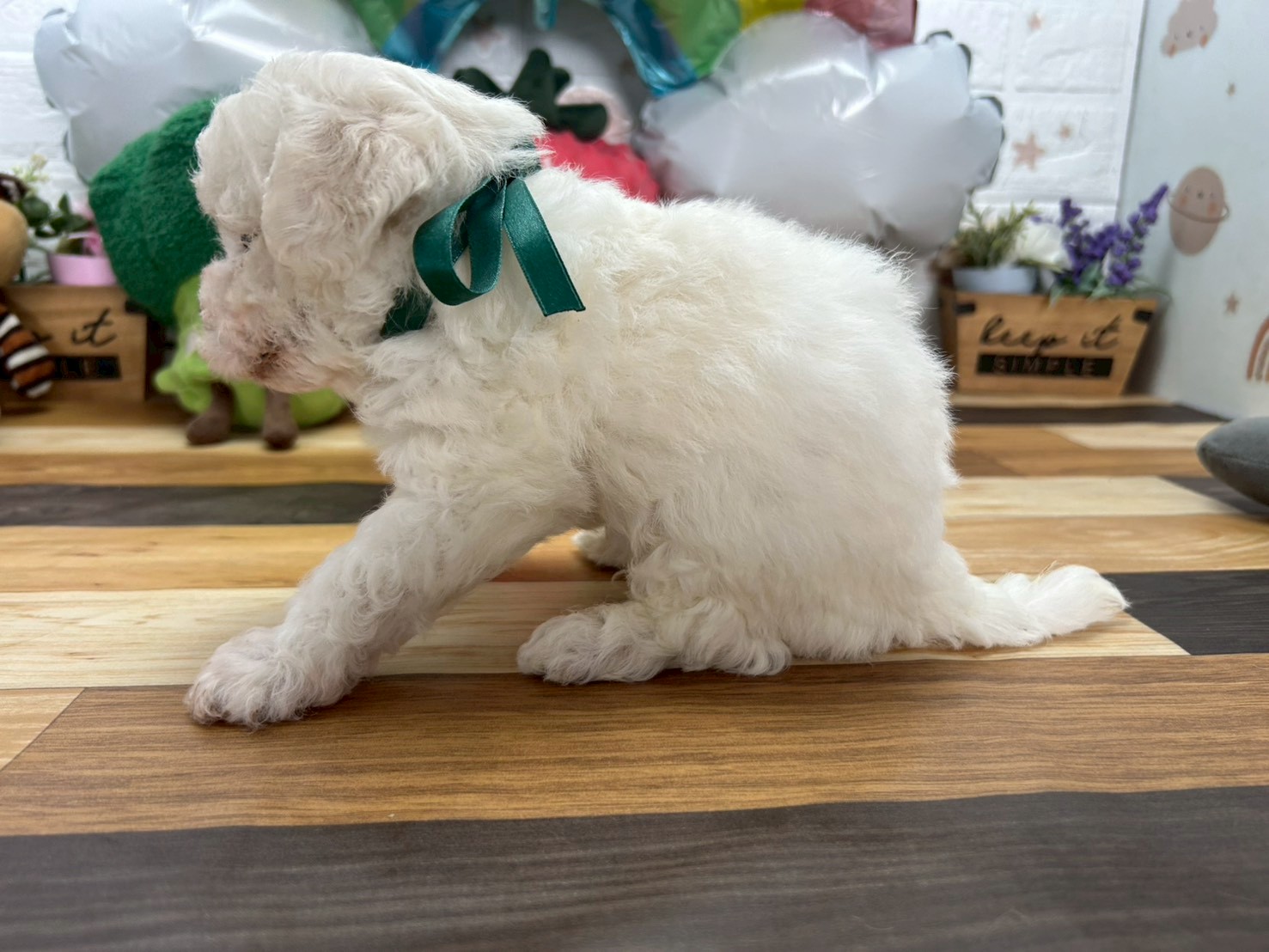 赤ちゃん写真3-2
