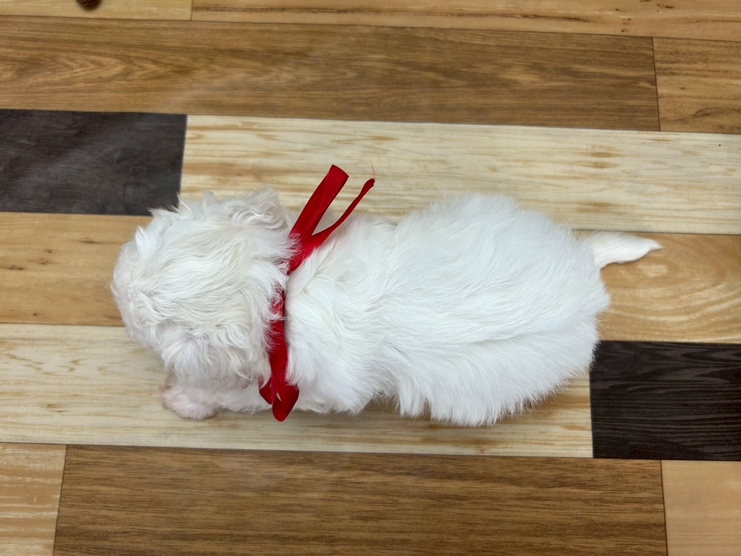 赤ちゃん写真3-3