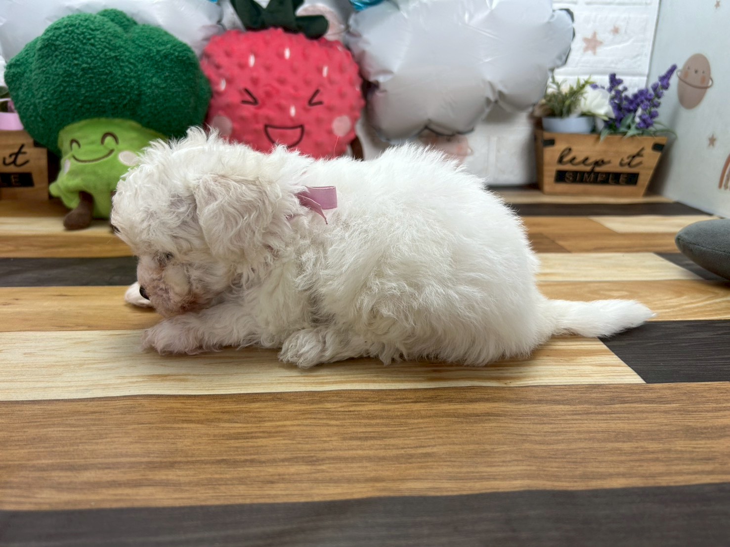 赤ちゃん写真3-2