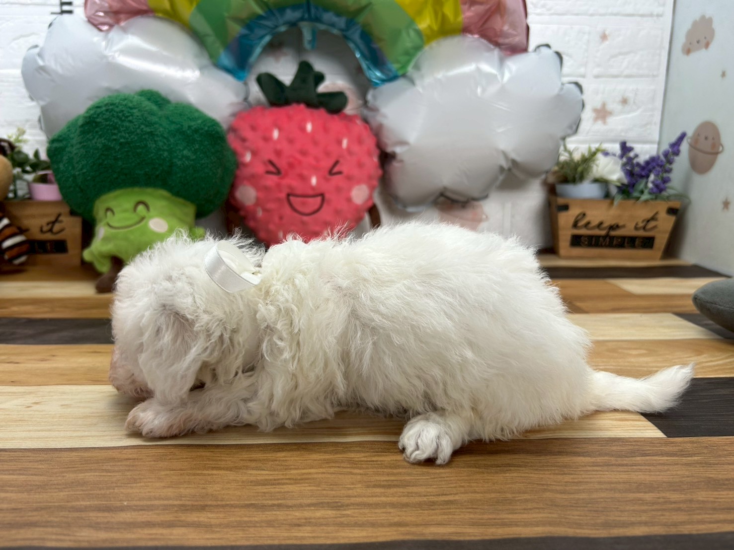 赤ちゃん写真3-2