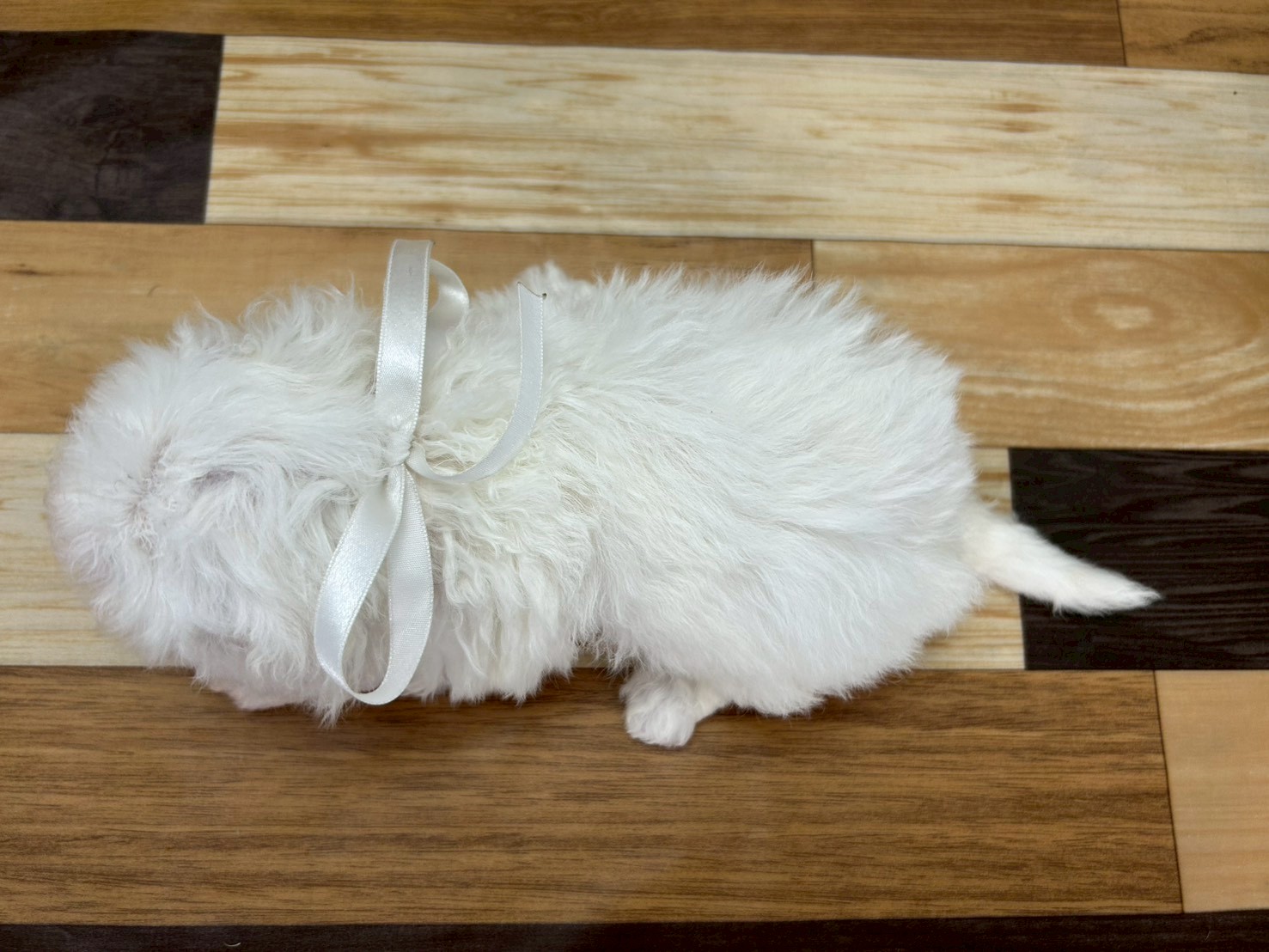 赤ちゃん写真3-3