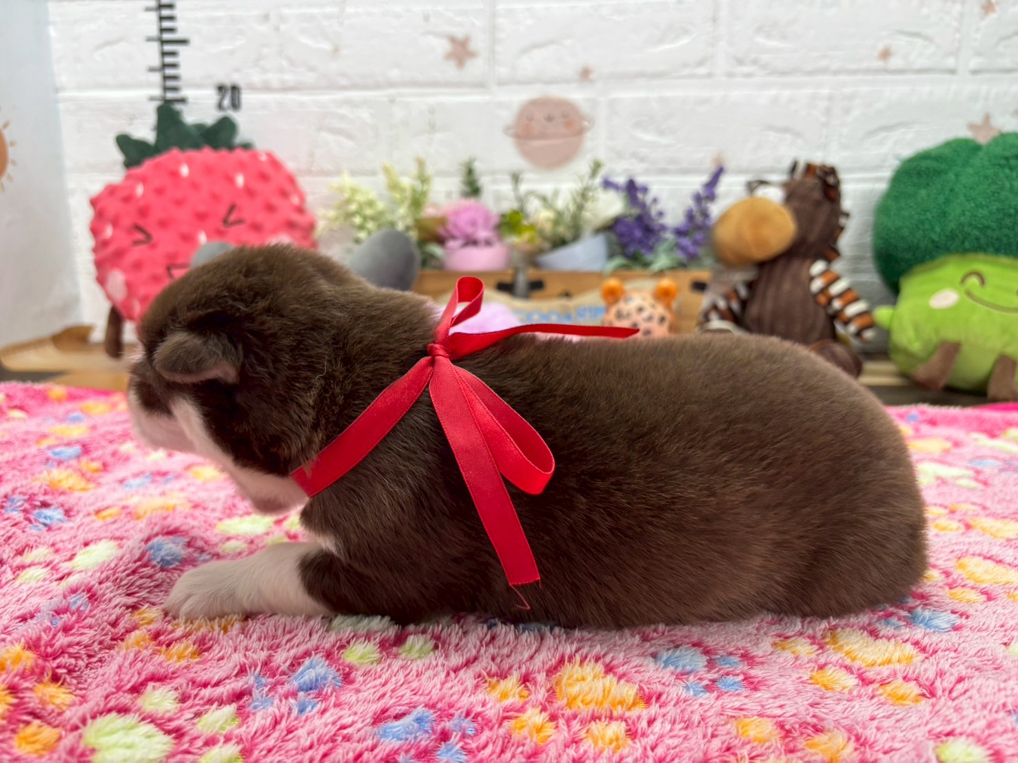 赤ちゃん写真1-2