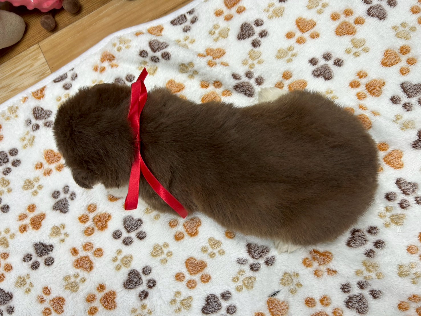赤ちゃん写真2-3