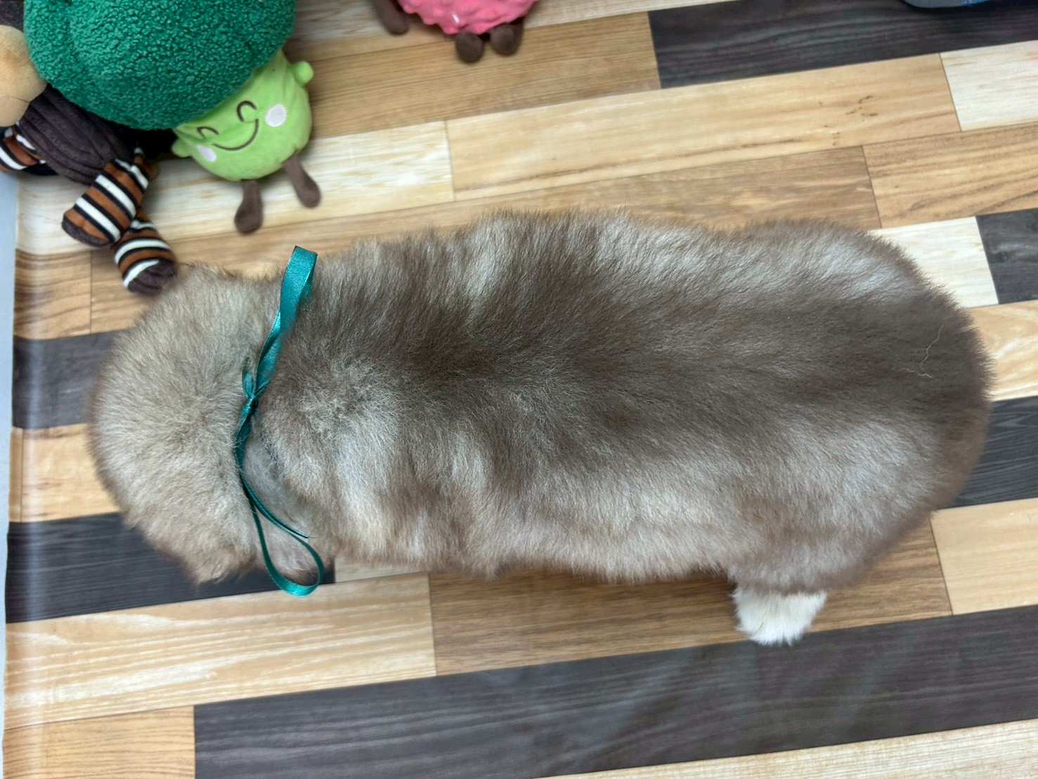 赤ちゃん写真3-3