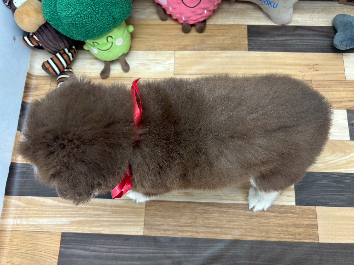 赤ちゃん写真3-3
