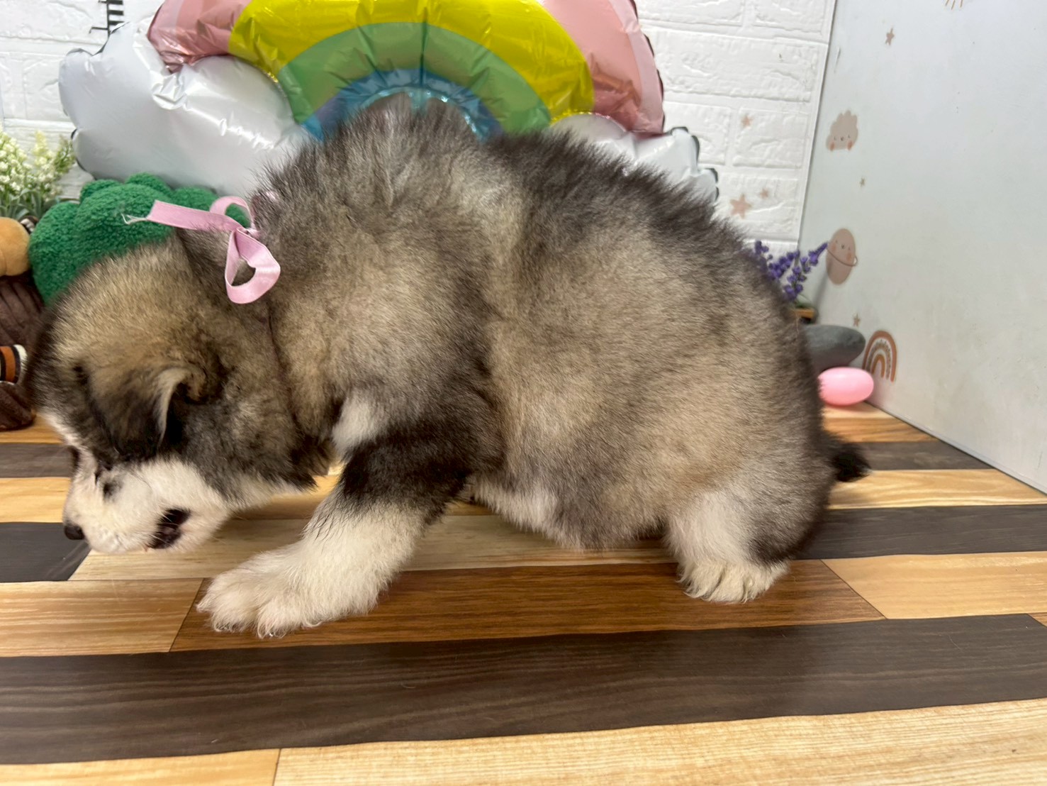 赤ちゃん写真3-2