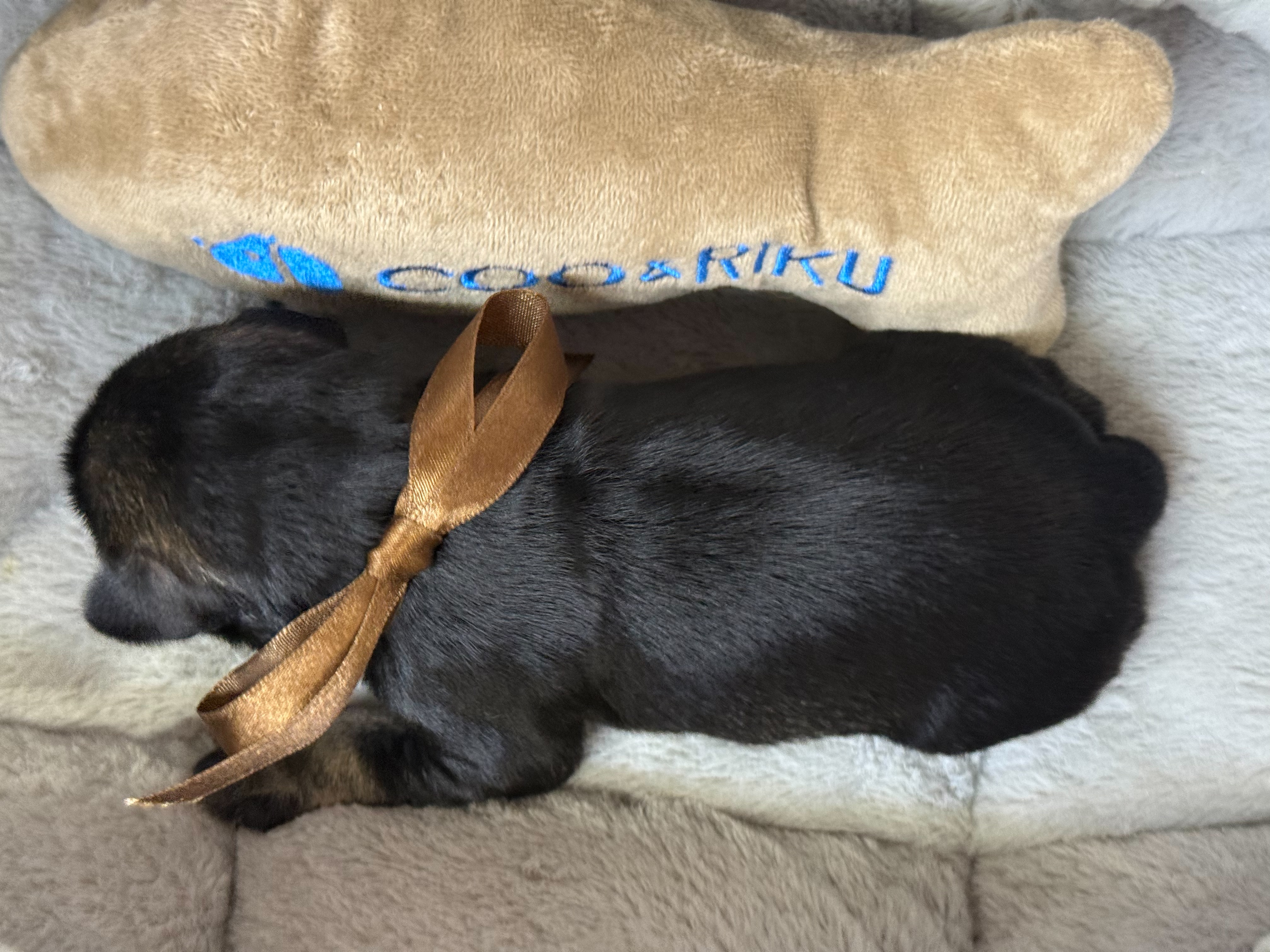 赤ちゃん写真1-3