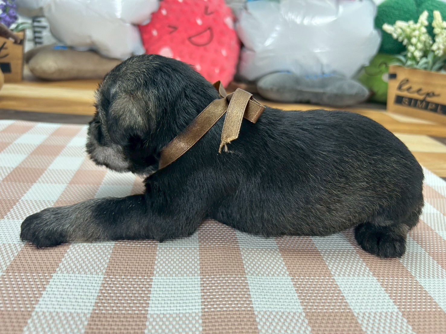 赤ちゃん写真2-2
