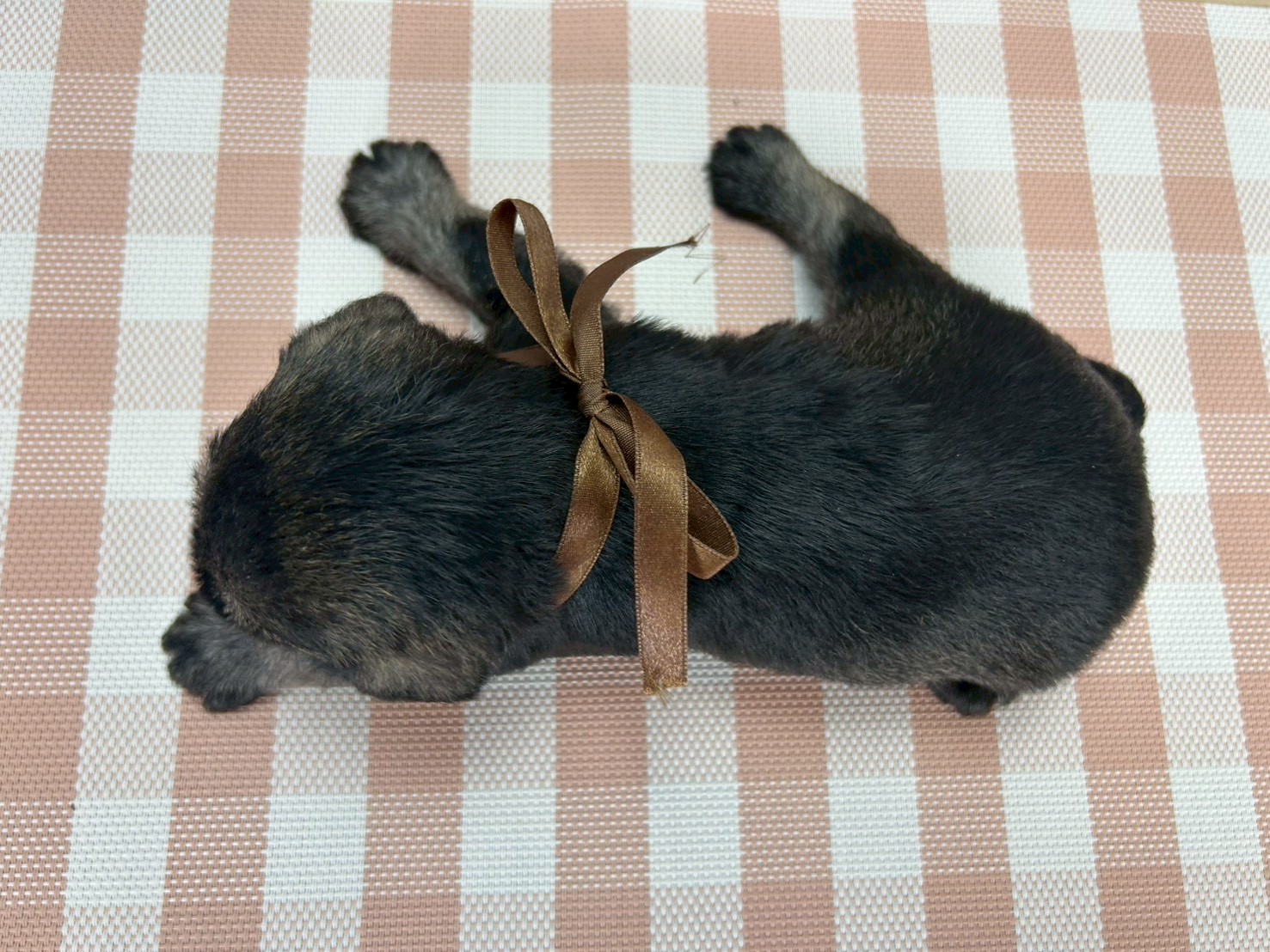 赤ちゃん写真2-3