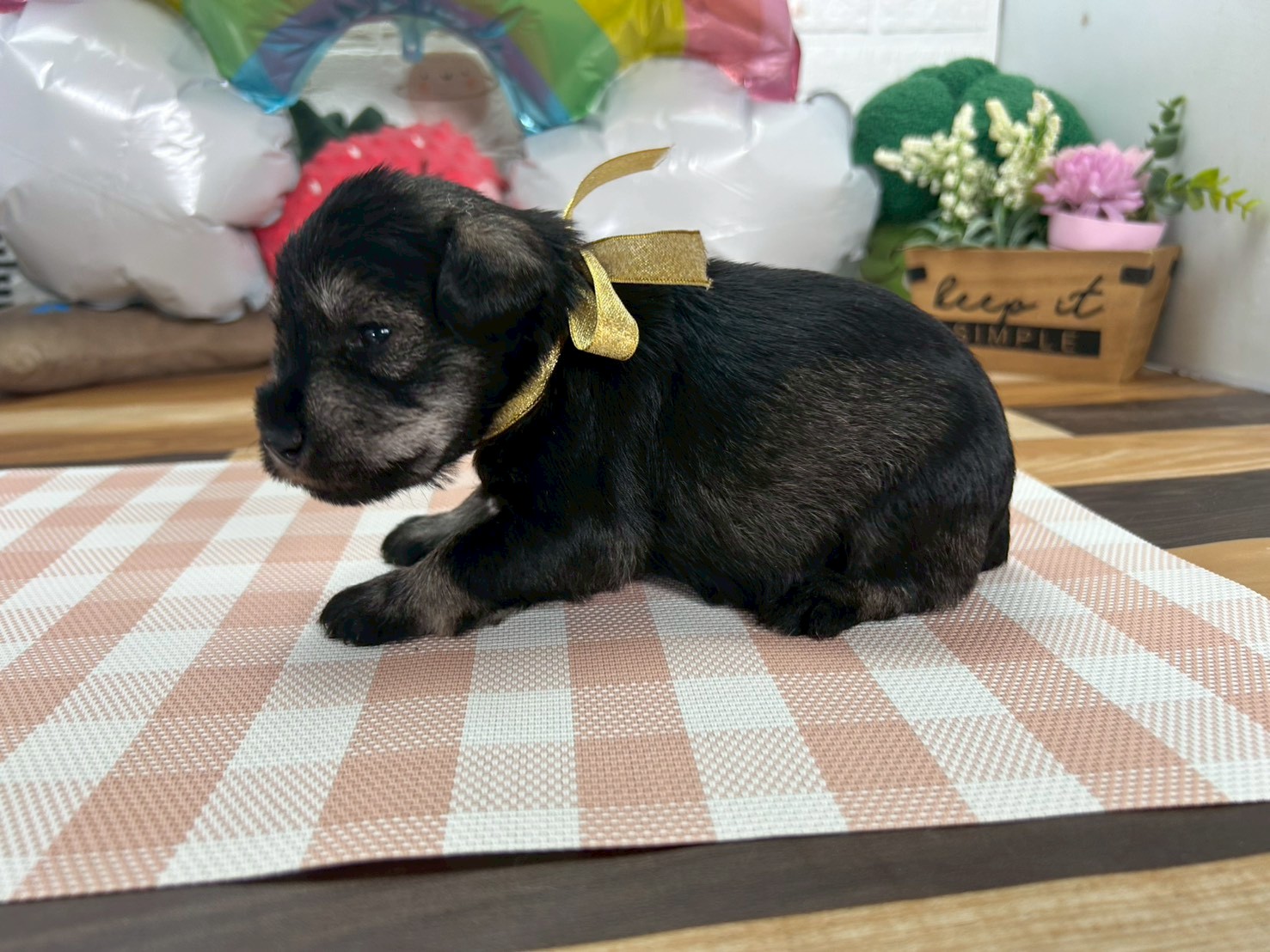 赤ちゃん写真2-2