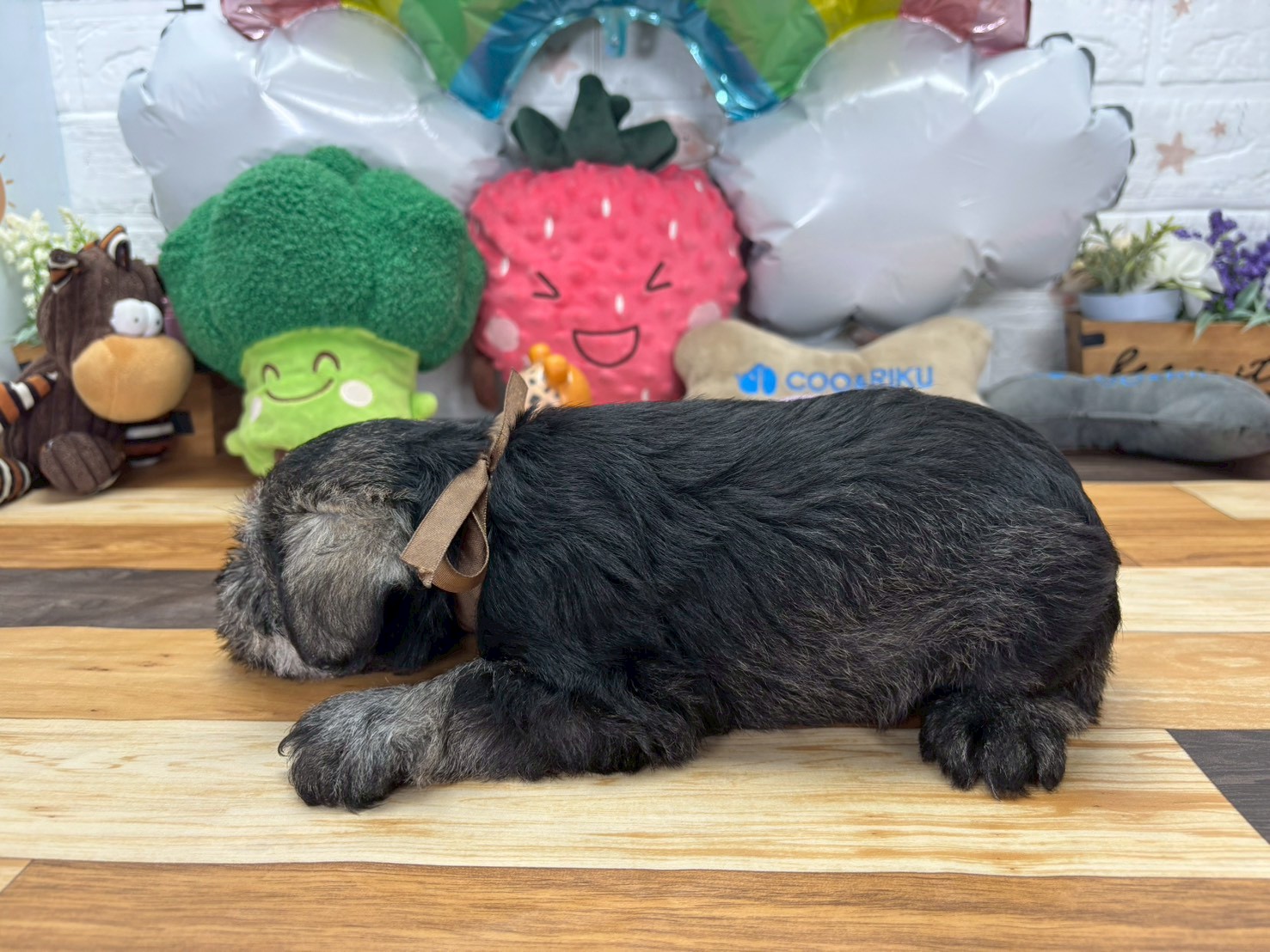 赤ちゃん写真3-2