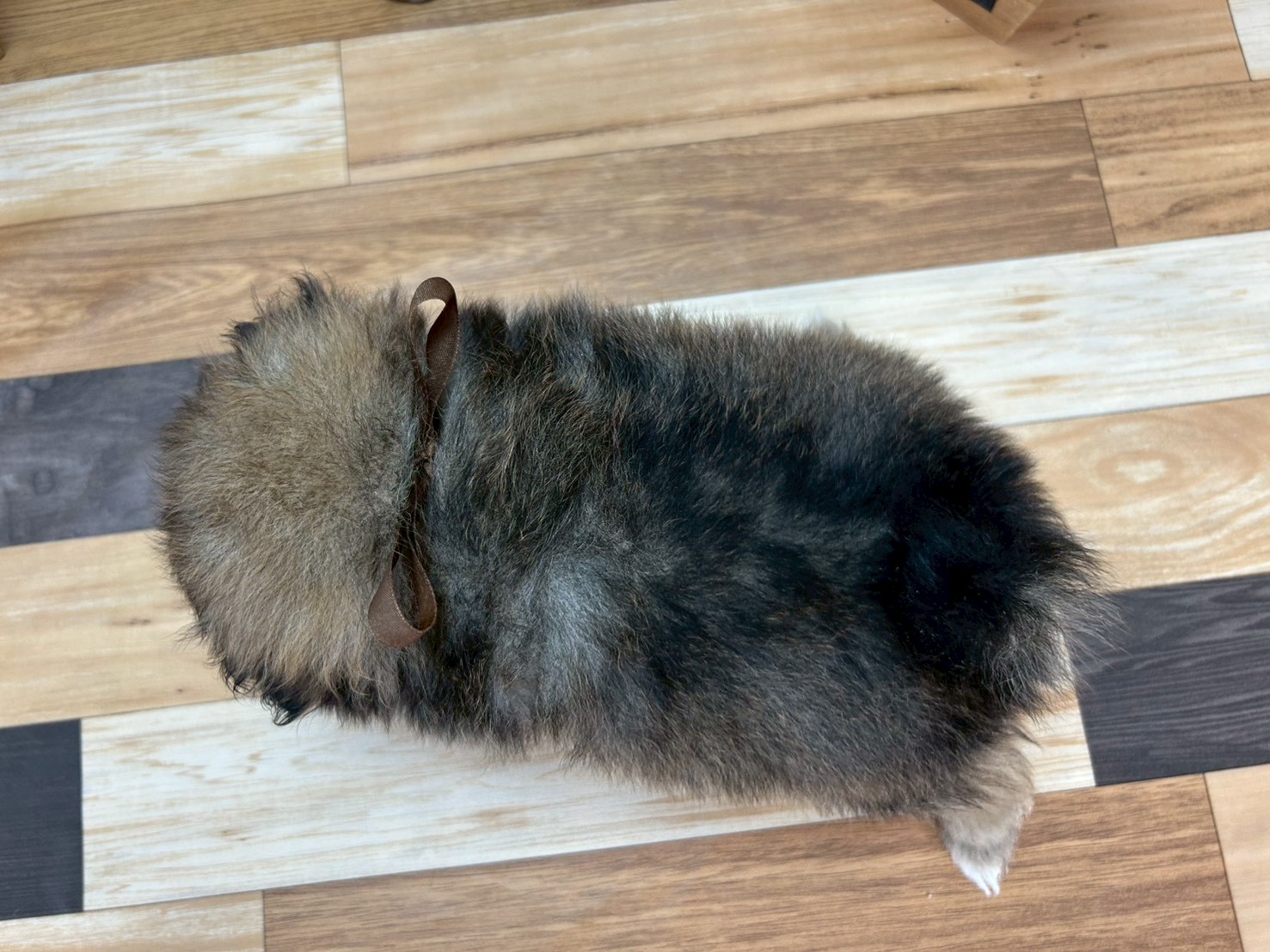 赤ちゃん写真3-3