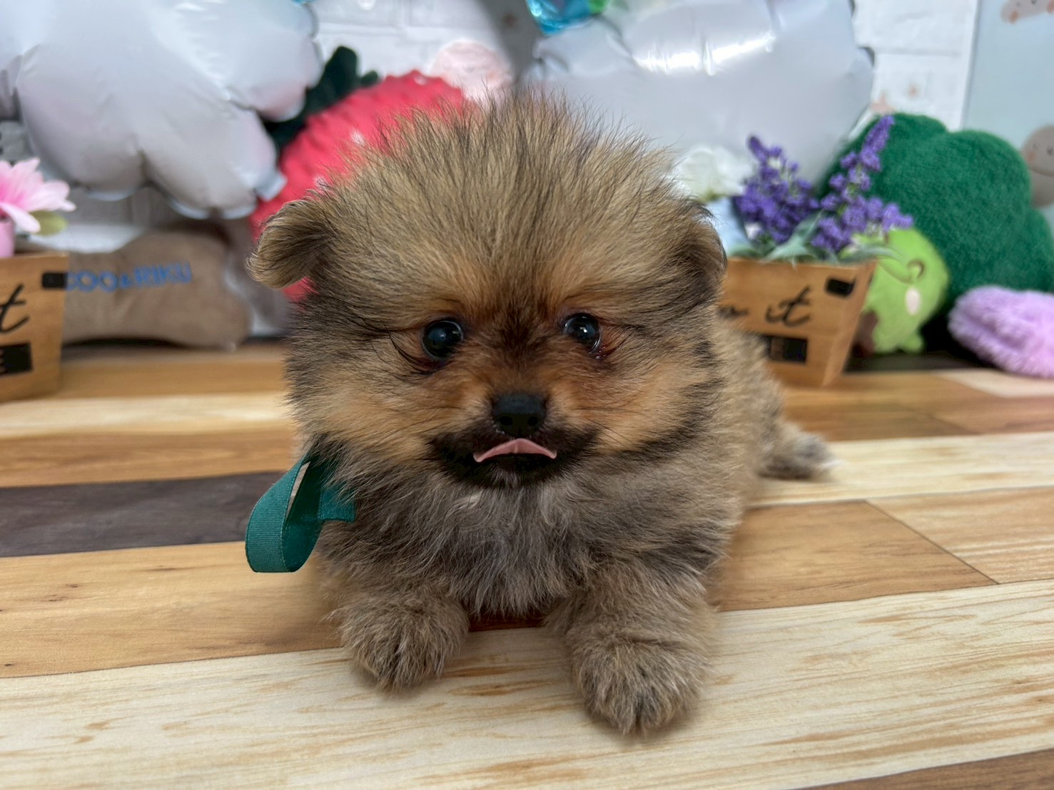 赤ちゃん写真3-1