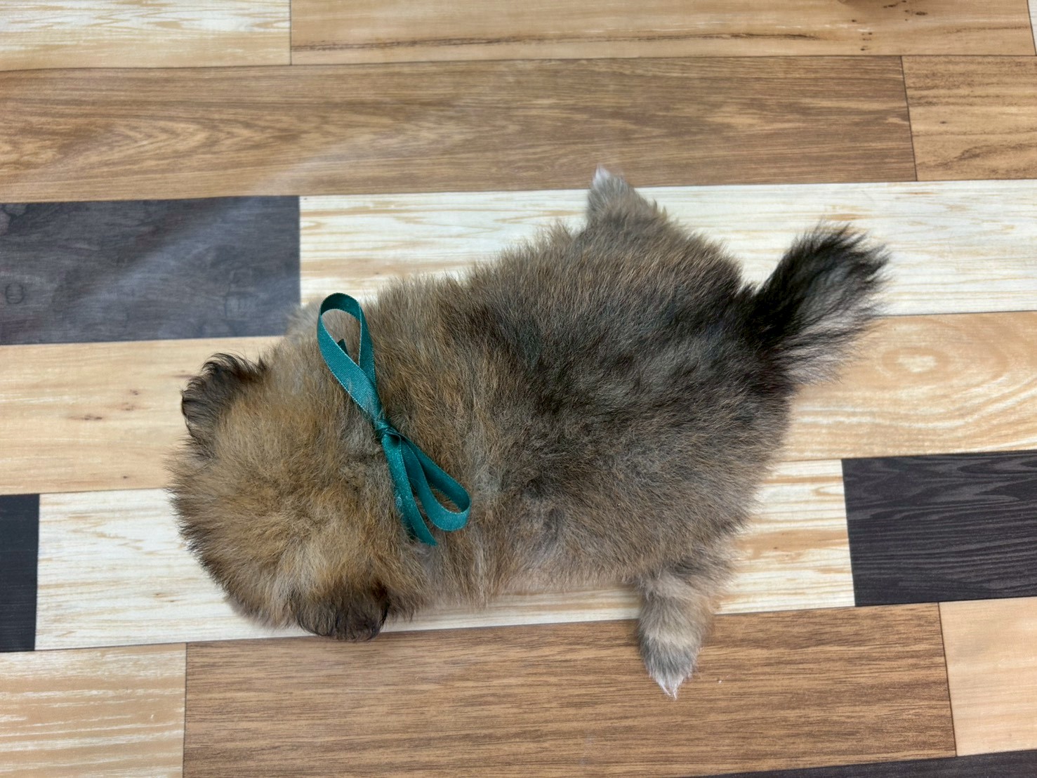 赤ちゃん写真3-3