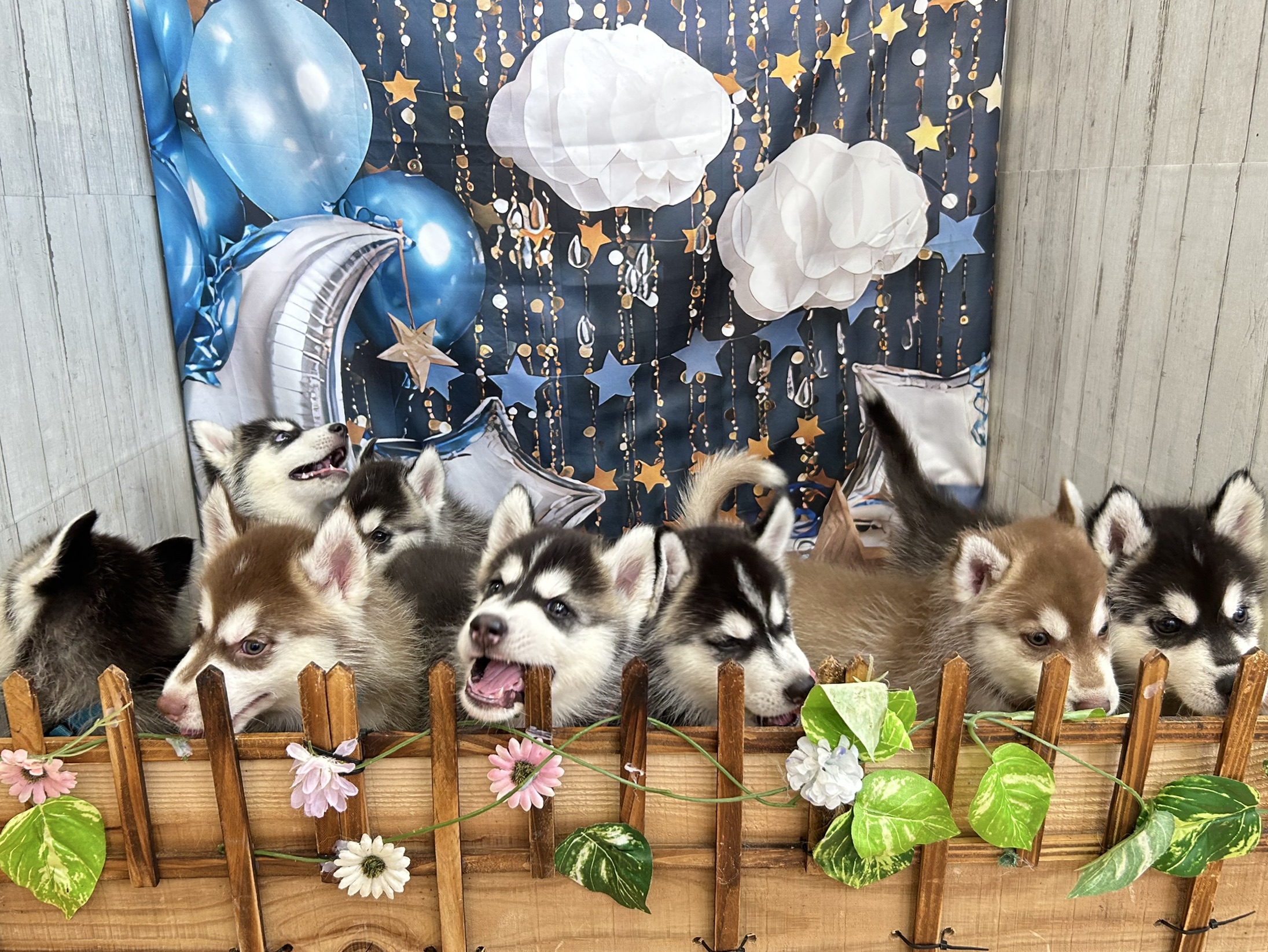 赤ちゃん写真3-3