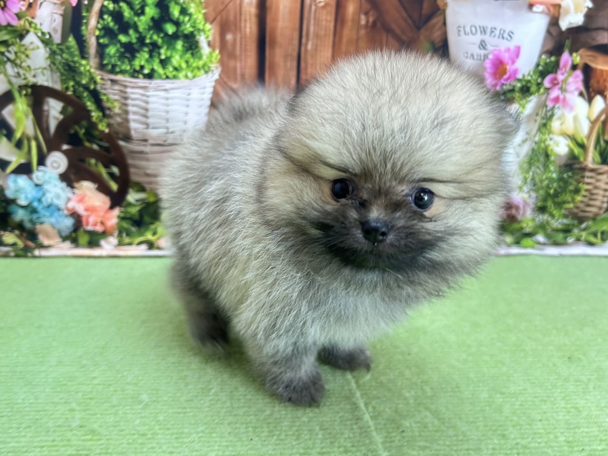 赤ちゃん写真3-1