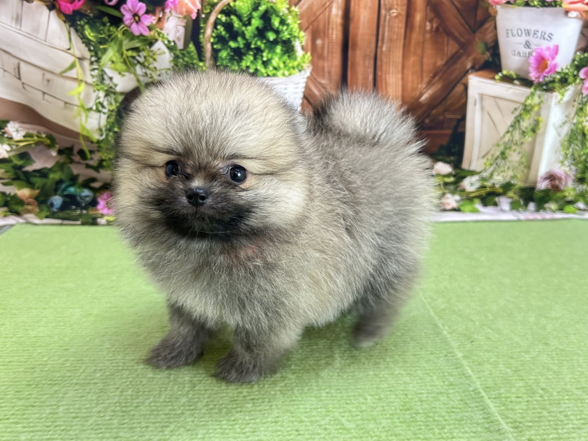 赤ちゃん写真3-2