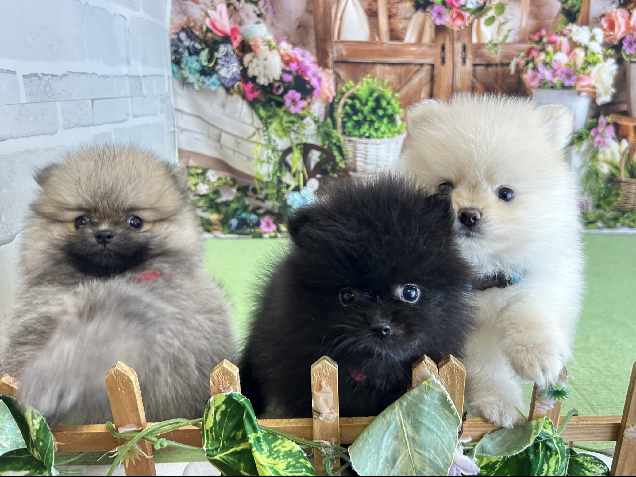 赤ちゃん写真3-3